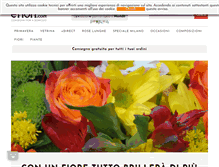 Tablet Screenshot of bergamo.efiori.com